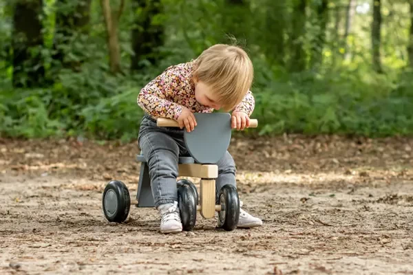 Stabiel op vier wielen